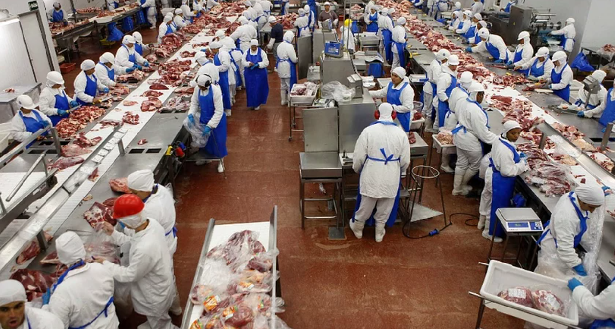 Blast freezing process for frozen beef and chicken to preserve freshness