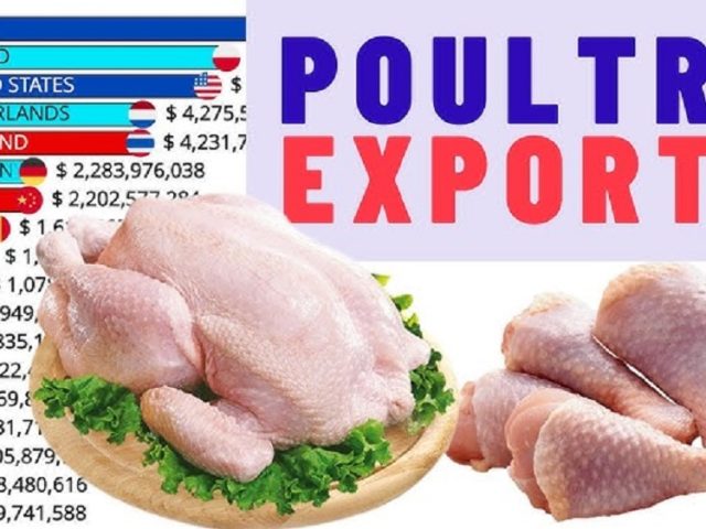 Top 20 Halal Chicken Export Companies Worldwide – 2026 Global Ranking & Market Analysis
